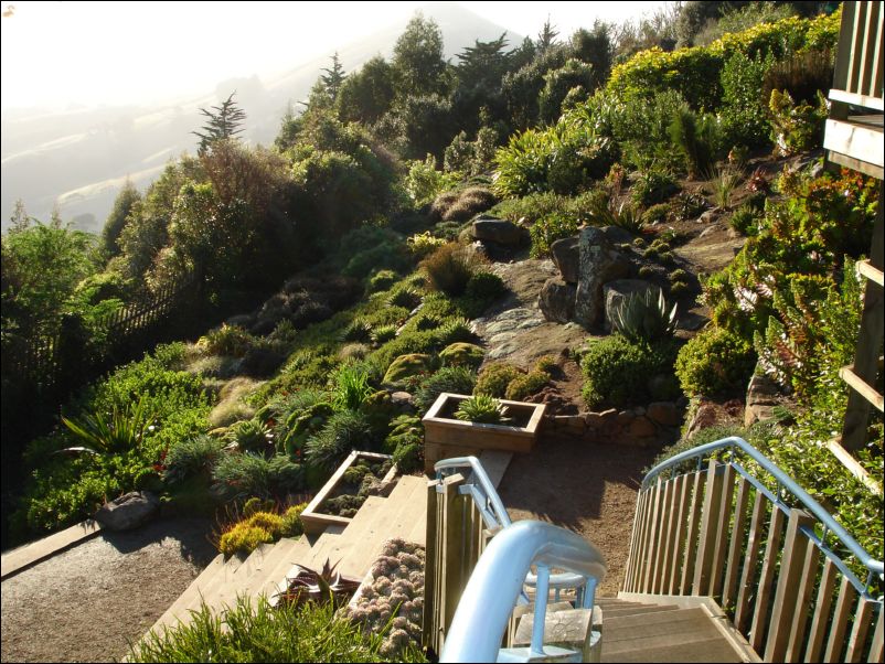 DSC01176_larnach castle